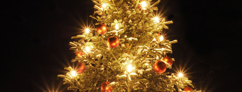 Weihnachtsbaum beleuchtet | Stoll