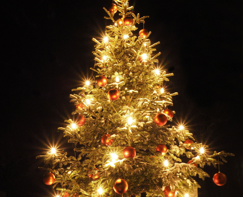 Staunen & Schmunzeln Archive Verband natürlicher Weihnachtsbaum