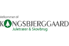 Kongsbjerggaard