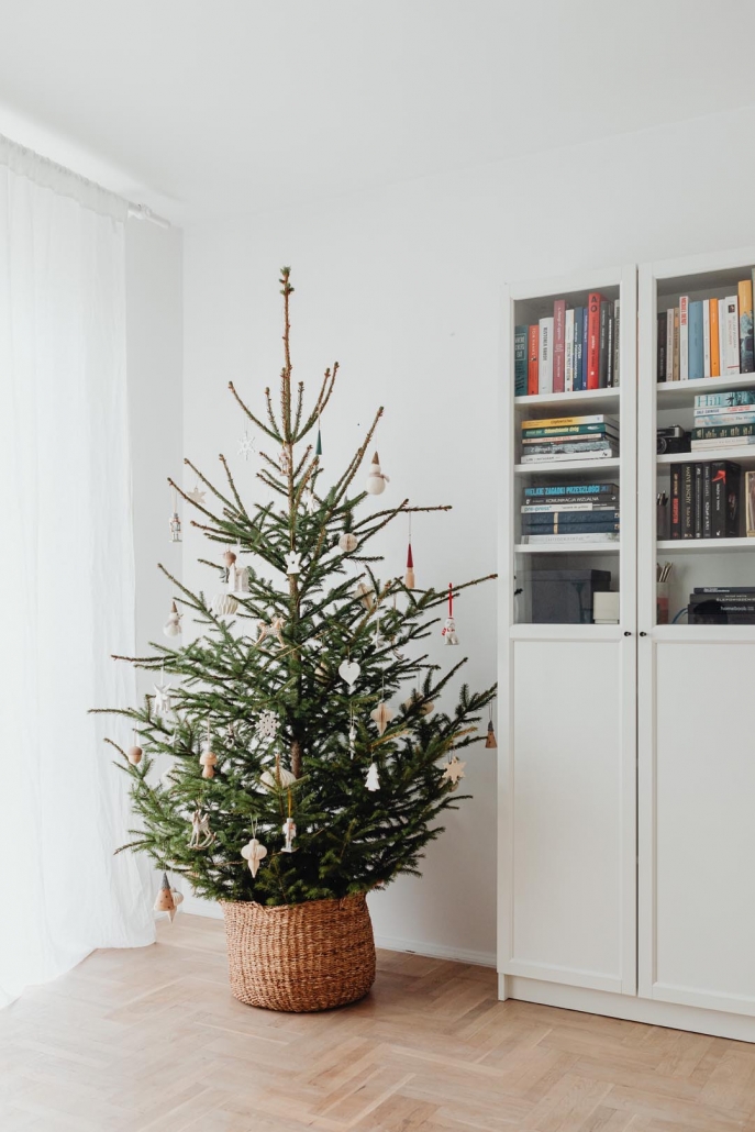Idee zum Christbaum oder Weihnachtsbaum natur-inspiriert schmücken