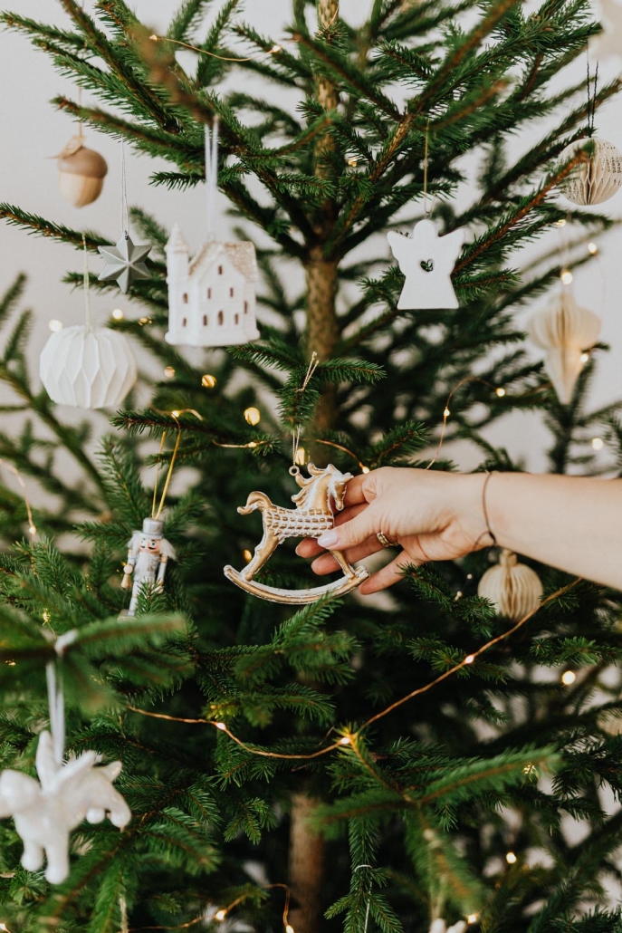 Idee zum Christbaum oder Weihnachtsbaum natur-inspiriert schmücken