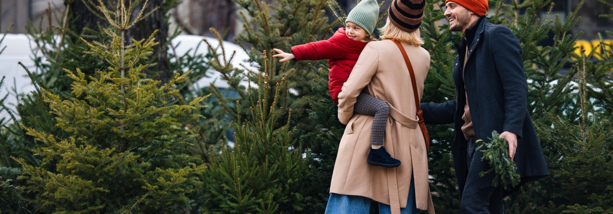 Paar mit Kind succht natürlichen Weihnachtsbaum aus.