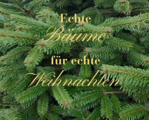 VNWB_Preview_Insta_EchteWeihnachten