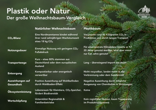 Plastik oder Natur? Der große Weihnachtsbaum-Vergleich. Copyright: VNWB