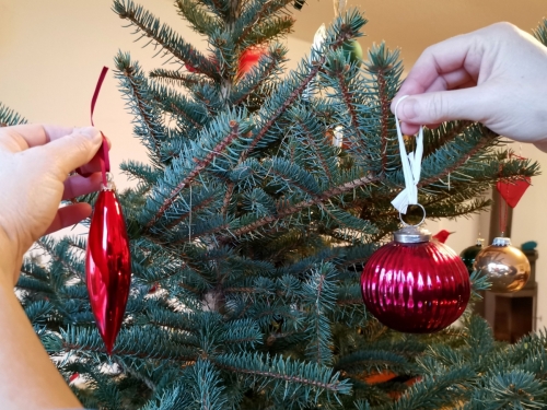 Natuerlicher-Weihnachtsbaum_FotoVNWB