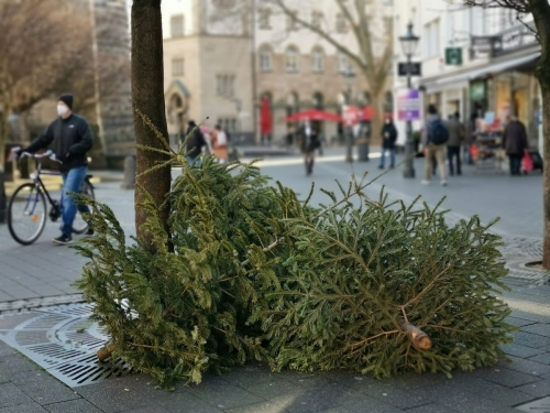 Weihnachtsbaum-Entsorgung © Kollaxo