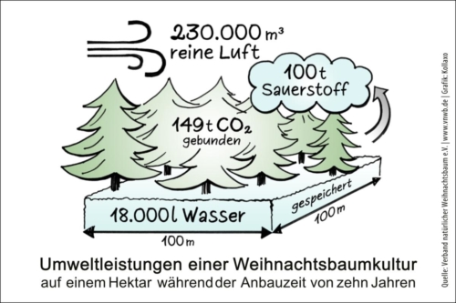 VNWB Grafik Umweltleistungen 1