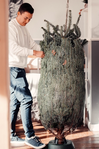 VNWB Weihnachtsbaum aufstellen 2 Foto ICHER web